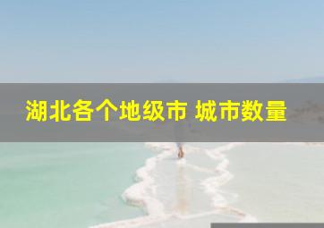 湖北各个地级市 城市数量